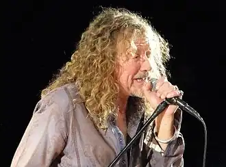 Robert Plant 2010