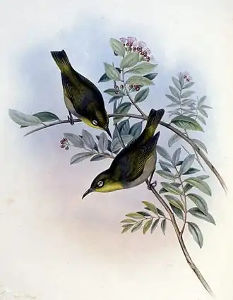 alternativní popis obrázku chybí