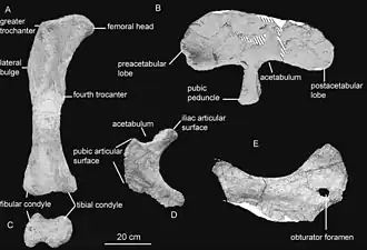 popis obrázku chybí