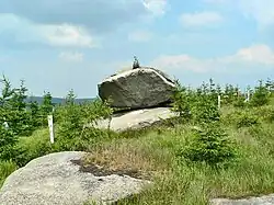 Viklan severně od vrcholu Věžních skal