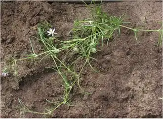 alternativní popis obrázku chybí