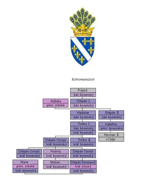 Rodokmen bosenských králů