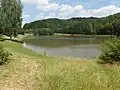 Údolní nádrž Kamenná na potoce Rohlenici