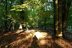 Vrchol Rokytské horky