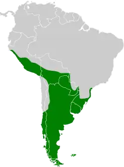 Areál rozšíření (zeleně)