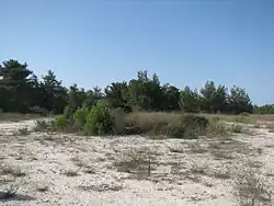 Vrcholová partie Rom Karmel