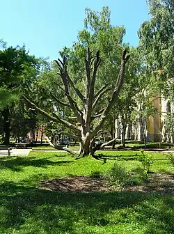 po zániku v červenci 2011