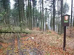 Ropice (prosinec 2013)