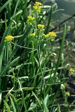 alternativní popis obrázku chybí