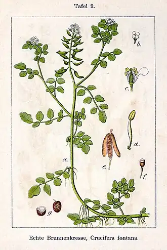 alternativní popis obrázku chybí