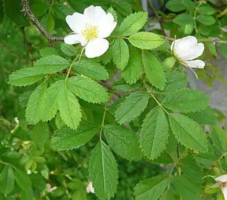 alternativní popis obrázku chybí