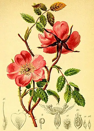 alternativní popis obrázku chybí