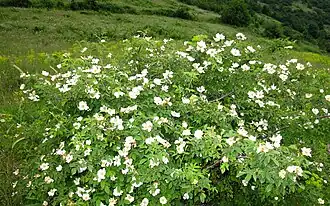 alternativní popis obrázku chybí