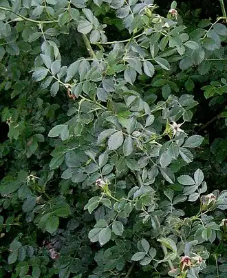 alternativní popis obrázku chybí