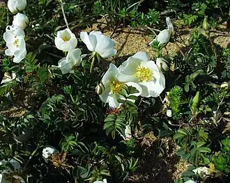 alternativní popis obrázku chybí