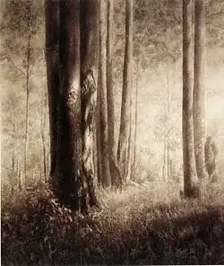 Vysoký a vznešený, 1930–1940