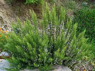 alternativní popis obrázku chybí