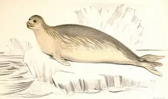 alternativní popis obrázku chybí