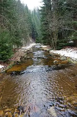 Před soutokem s Rotavou