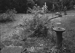 Rothmayerova zahrada, kontaktní kopie z velkoformátového negativu