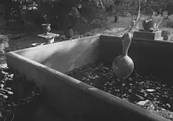 Rothmayerova zahrada