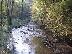 Řeka poblíž města Bayreuth