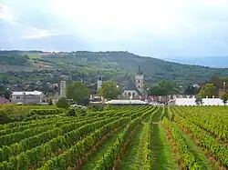 Ingelheim, Burgkirche z vinic