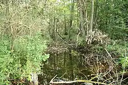 Rouchovanka u Hrotovic