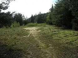 Výsypka bývalého zlatodolu Roudný