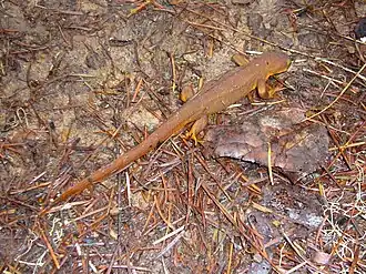 alternativní popis obrázku chybí