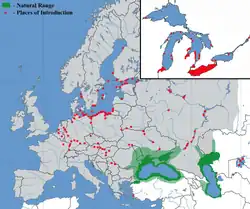 Areál rozšíření