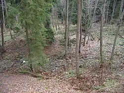 Rovný - tvrziště.JPG