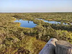 Vyhlídka z rozhledny