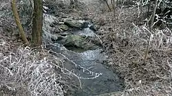 Potok pod rybníkem Drátovec I