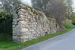 Rozmberk city walls (9515).jpg