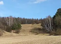 Přírodní památka Roznitál