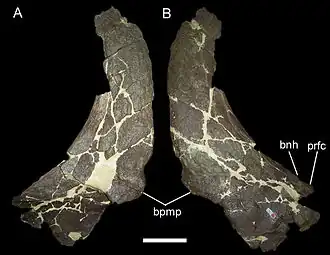 alternativní popis obrázku chybí