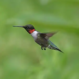 alternativní popis obrázku chybí