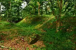 Ruchomperk 2012 - jižní strana předhradí.jpg