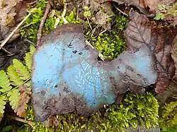 Rudoltovice („Archeologie“ – kousek starého smaltovaného zbytku nádoby s německým nápisem „Brünn“)