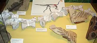 alternativní popis obrázku chybí