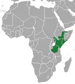 rozšíření bércouna rezavého