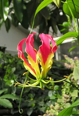 alternativní popis obrázku chybí