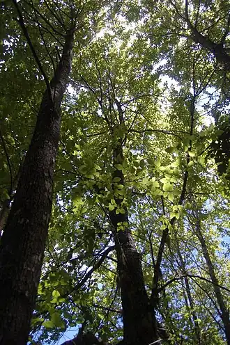 alternativní popis obrázku chybí