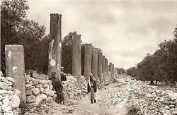 Sloupořadí v ruinách Samaří