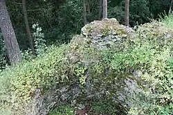 Ruins of castle Džbán near Budětice (1).JPG