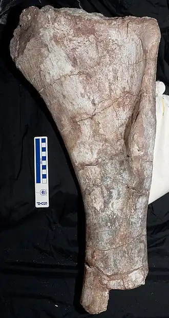 popis obrázku chybí