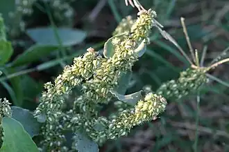 alternativní popis obrázku chybí