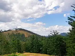 Pohled na rozhlednu od východu