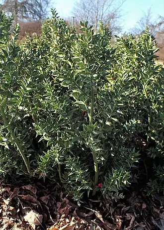 alternativní popis obrázku chybí